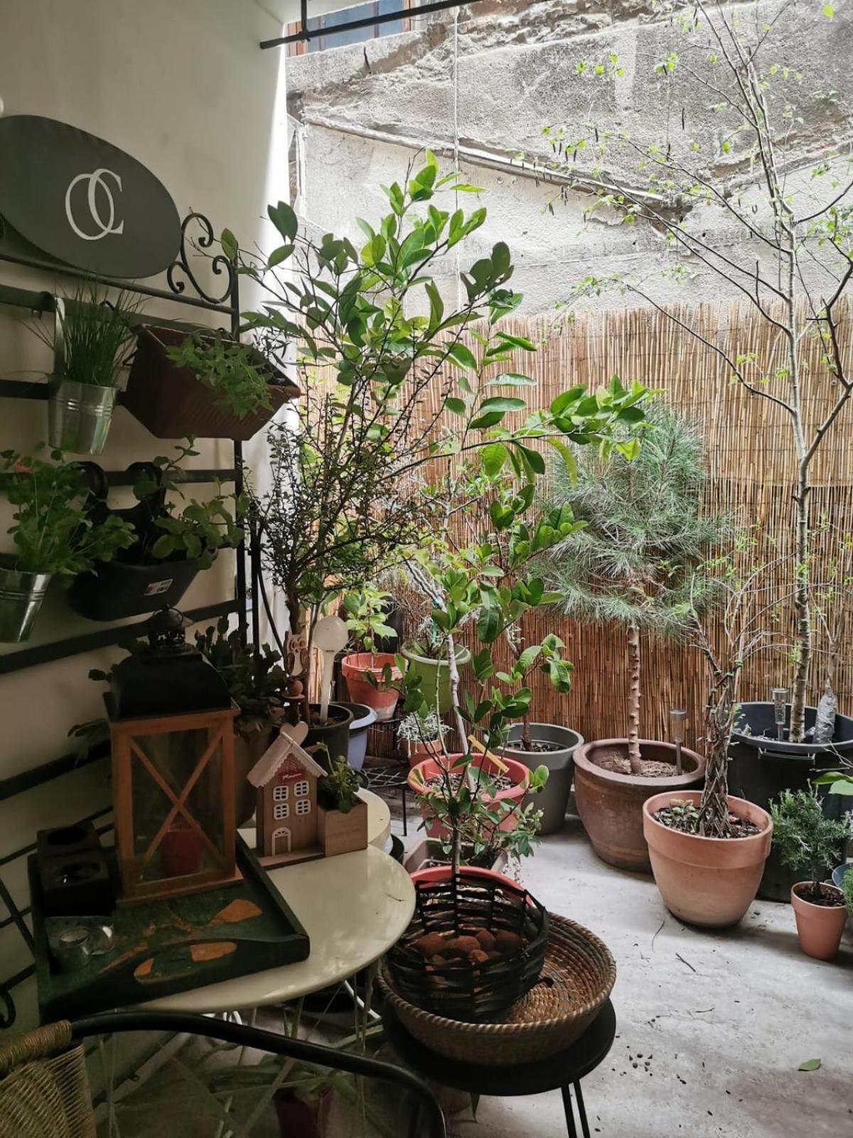 La Maison D'Aromarie 图尔尼 外观 照片